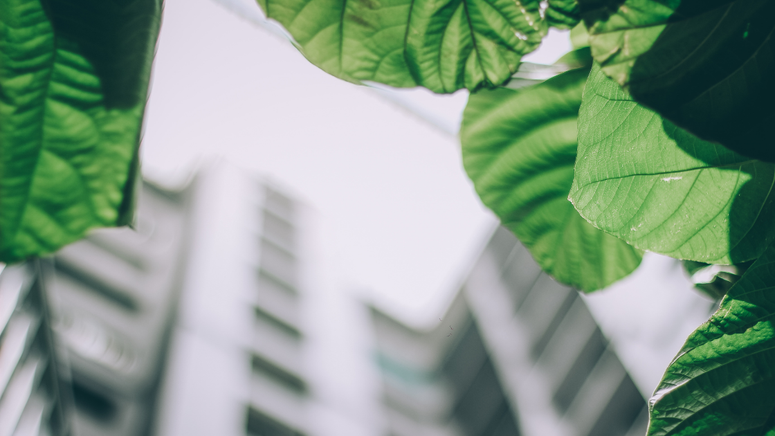 A greener future: how community engagement can tackle climate change